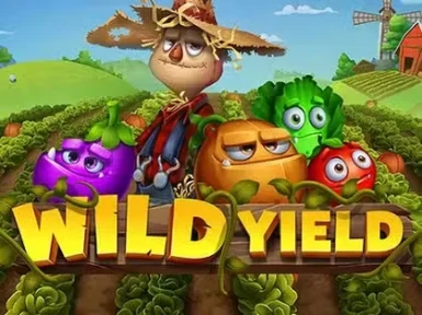 Winnitt Casino screenshot